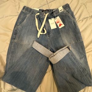 Judy blue Jogger